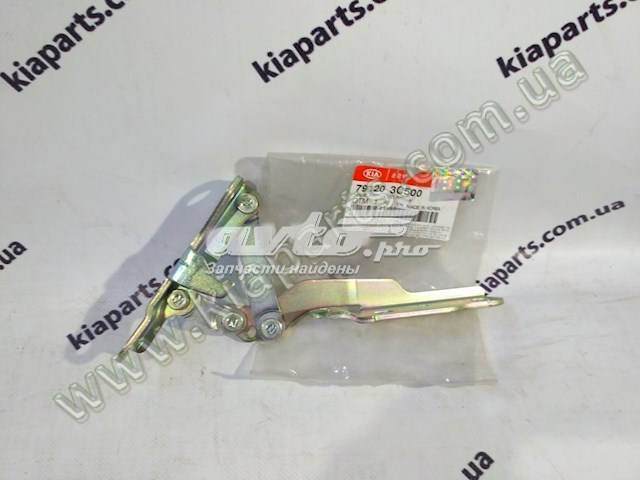 Петля капота, правая Hyundai/Kia 791203C500 цена, от 11.52 USD