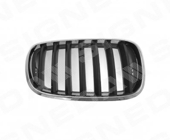 Решетка радиатора правая Signeda BM07053GAR цена, от 27.56 USD