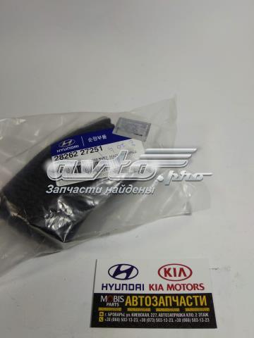 2826227251 Hyundai/Kia 