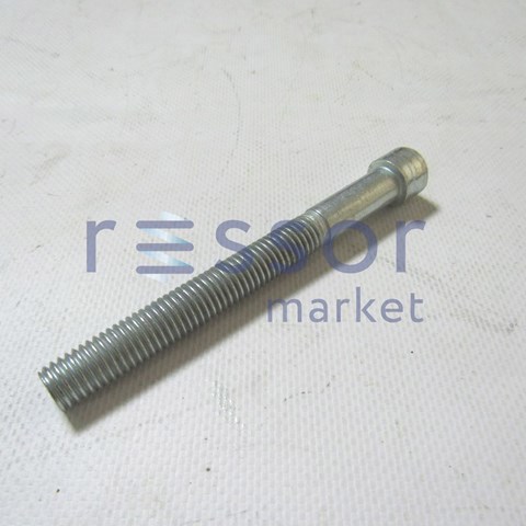  M12X110 Market (OEM)