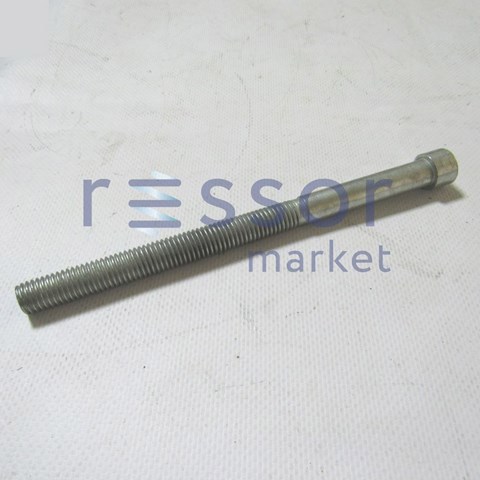  M12X170 Market (OEM)