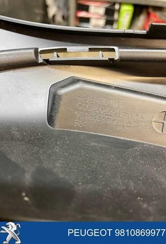 9810869977 Peugeot/Citroen 