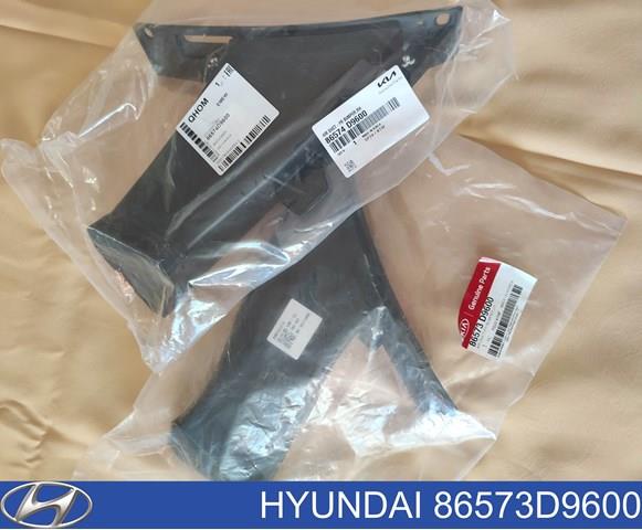 86573D9600 Hyundai/Kia 