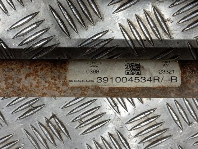 391004534R Renault (RVI) 