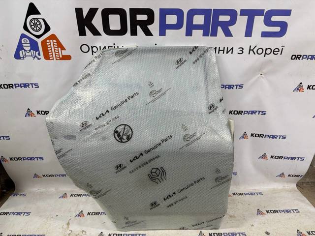 Купить 77004P1000 Hyundai/Kia Дверь задняя в сборе