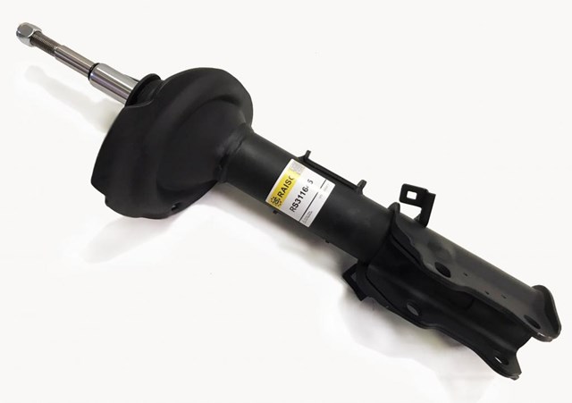 RS311645 Raiso Стойка передняя