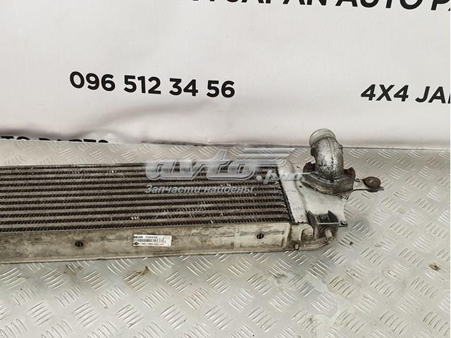 14460JD50C Nissan mangueira (cano derivado direita de intercooler)