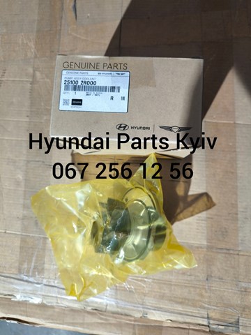  251002R000 Hyundai/Kia