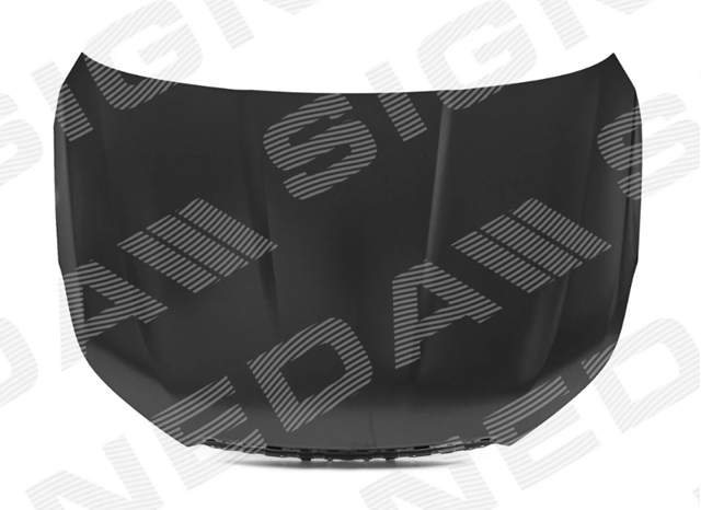 PCR20019ASRT Signeda Капот