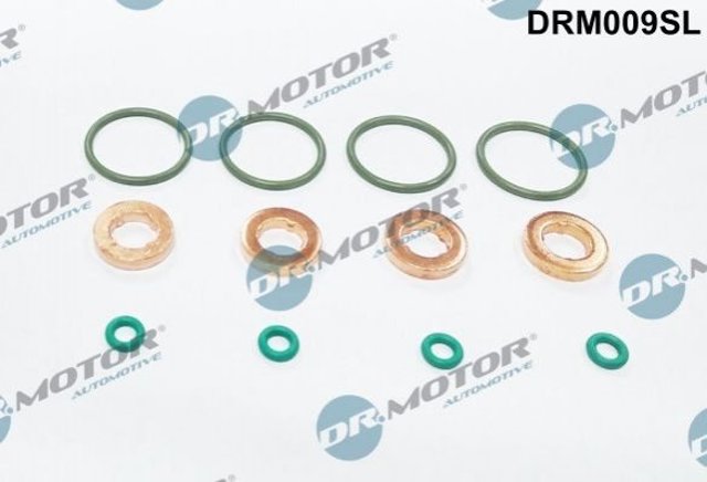 Ремкомплект форсунки DR.MOTOR DRM009SL