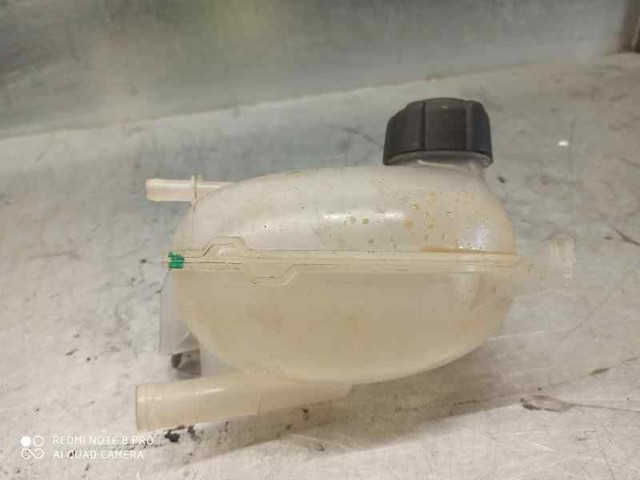  217100680R Renault (RVI)