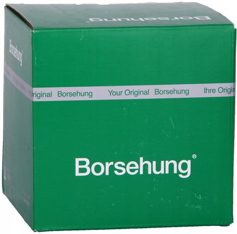  B17859 Borsehung