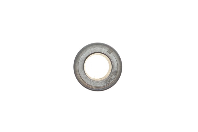 039PI00134000 Mahle Original Поршень в комплекте на 1 цилиндр, STD