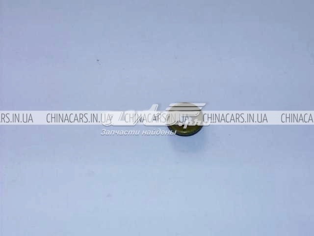 Шайба болта клапанной крышки Geely 1022004500 цена, от 0.76 USD