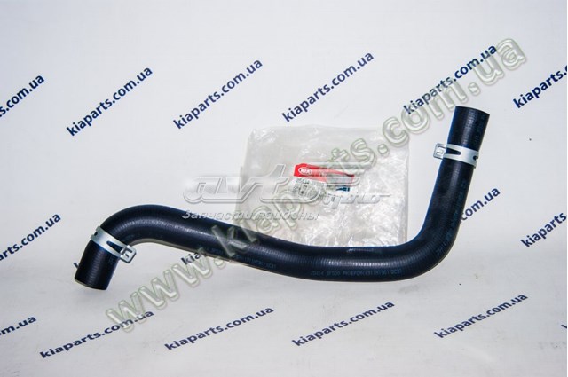 254143L100 Hyundai/Kia mangueira (cano derivado superior de intercooler)