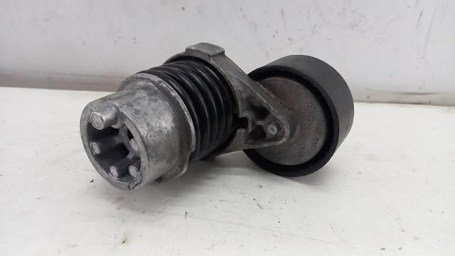 Натяжитель приводного ремня 117506193R Renault (RVI)