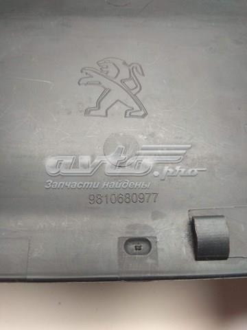 9810680977 Peugeot/Citroen 