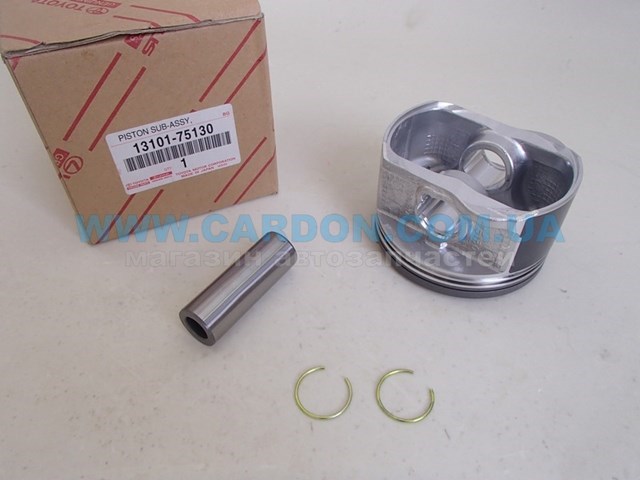 NP166360050 NIPPON MOTORS Поршень двигателя без колец