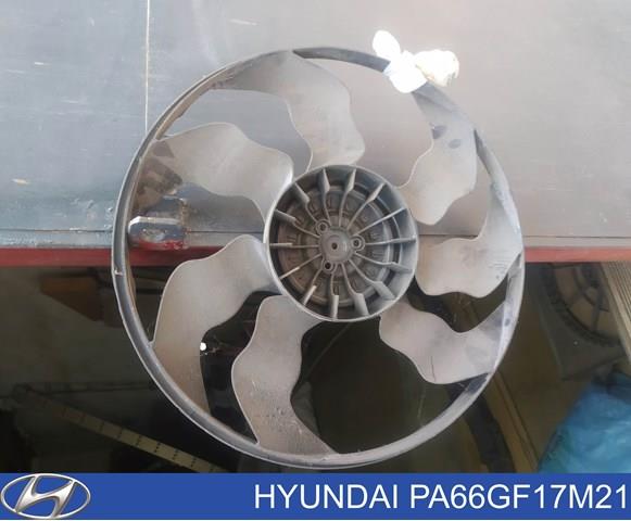 PA66GF17M21 Hyundai/Kia 