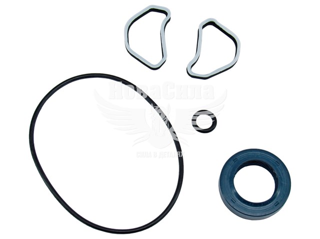 BW8011KIT MSG Ремкомплект насоса гидроусилителя руля
