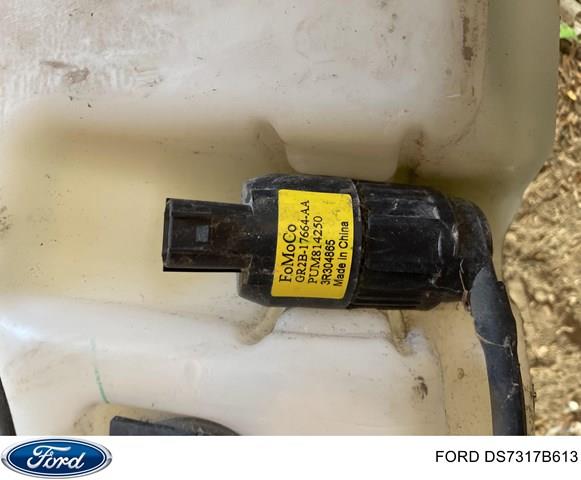  Ford DS7317B613