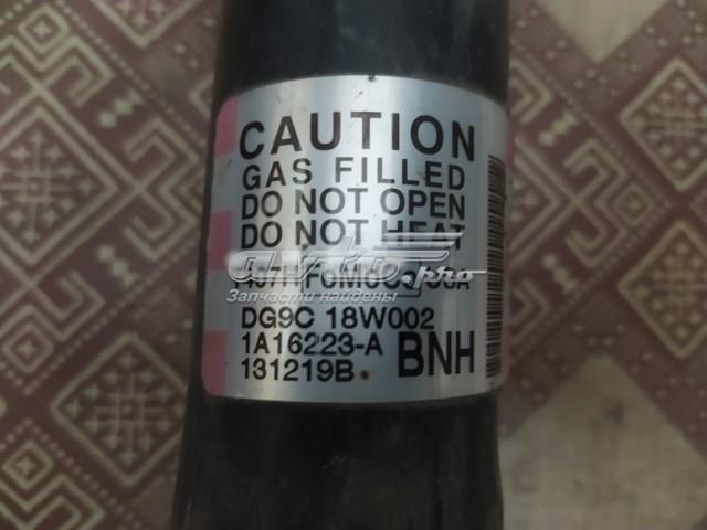 Купить DG9C18W002 Ford 
