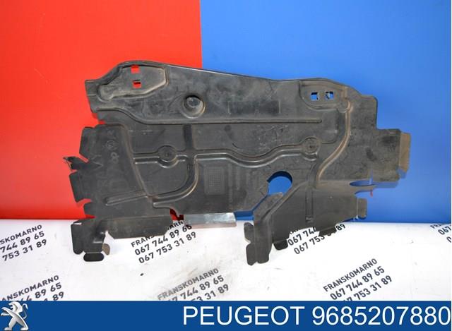 9685207880 Peugeot/Citroen 