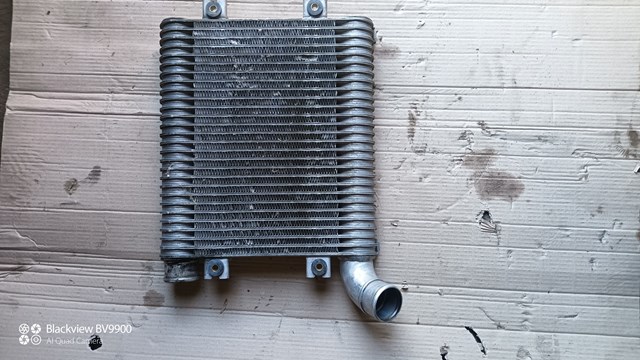  Radiador de intercooler Hyundai Santa Fe I SUV (SM) (2000 - 2006) I