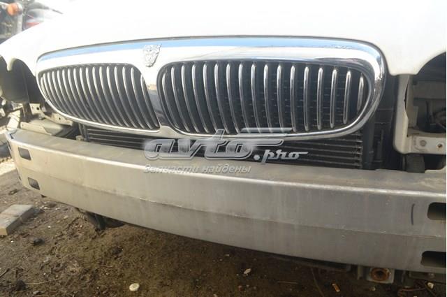 Jaguar C2S10796 цена, от 42.33 USD