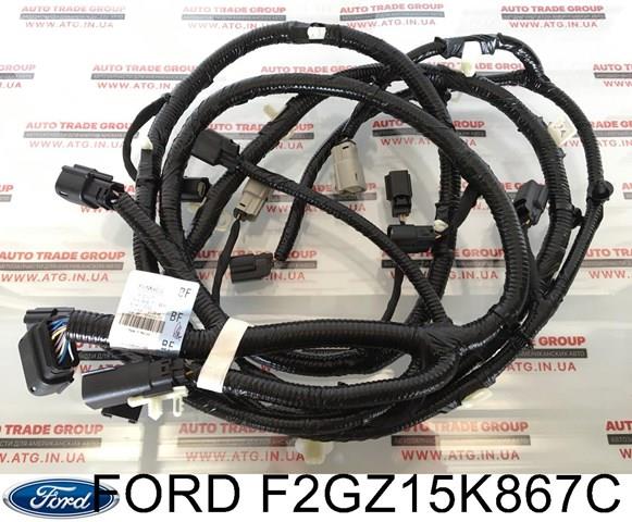  F2GZ15K867C Ford