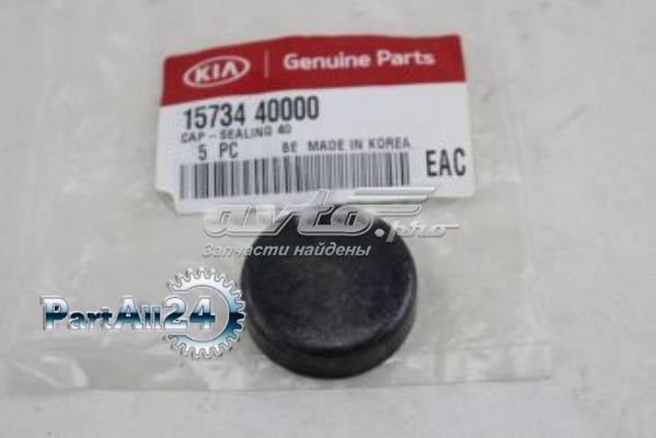 Купить 1573440000 Hyundai/Kia Заглушка ГБЦ