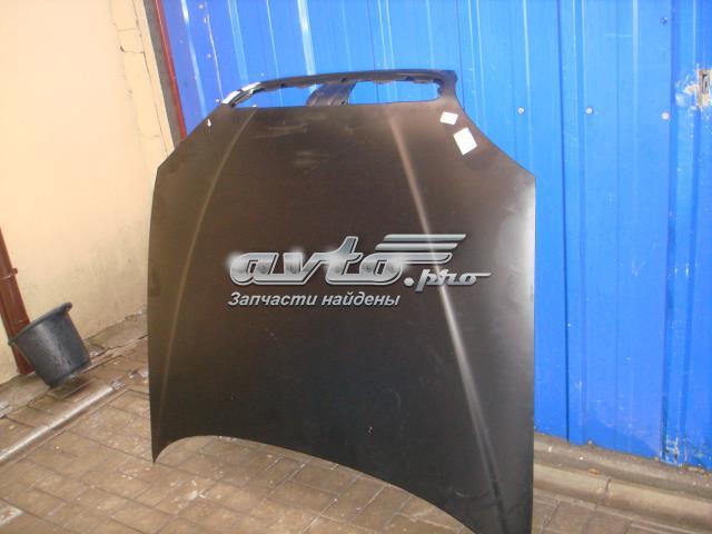 Капот TF69Y0840202005 ZAZ