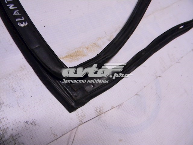 Купить 831402H000 Hyundai/Kia Уплотнитель двери задней правой (на двери)