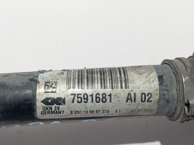  31607591681 BMW