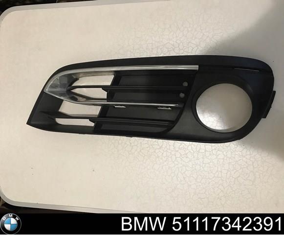 51117342391 BMW 