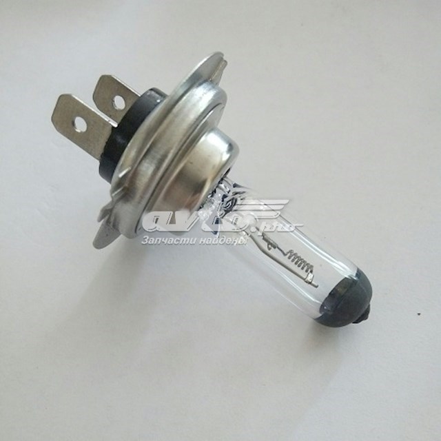 Купить H724V70W Tempest Лампочка галогенная