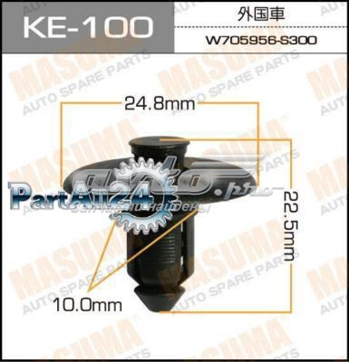  XR87508010 Jaguar