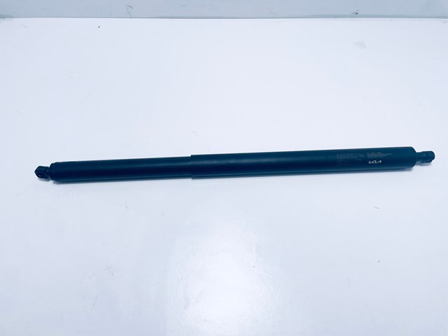 Амортизатор багажника AEKA040 NTY