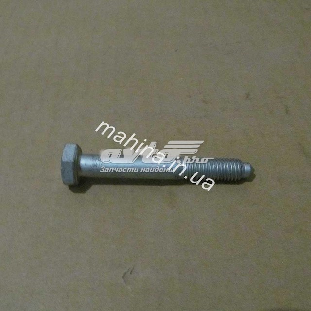 Купить N10023602 Chery Болт крепления заднего нижнего рычага