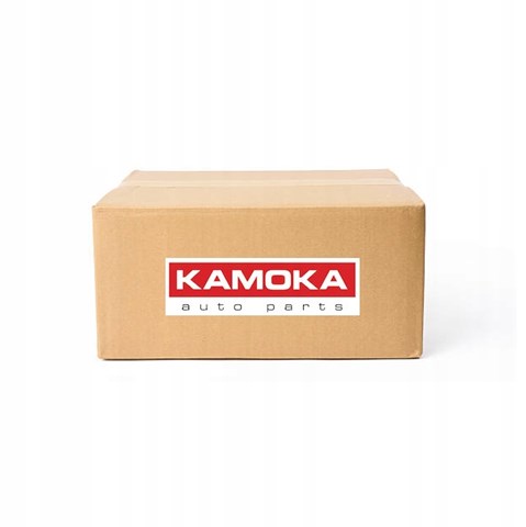 Сажевый фильтр системы отработавших газов Kamoka 8010065