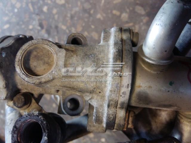 Купить 53446103 Fiat/Alfa/Lancia 