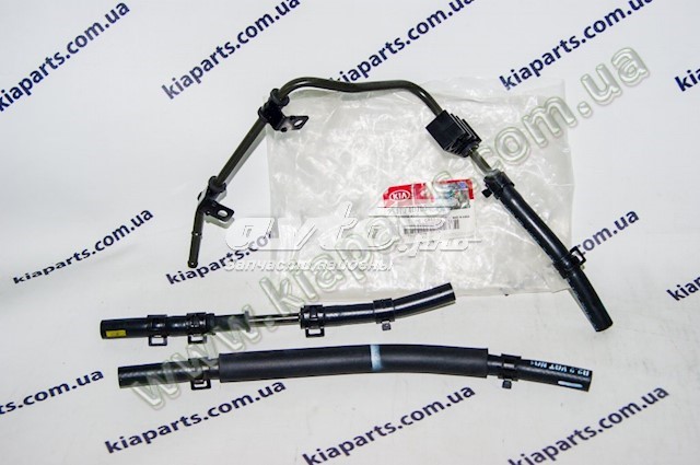  Hyundai/Kia 254704D700