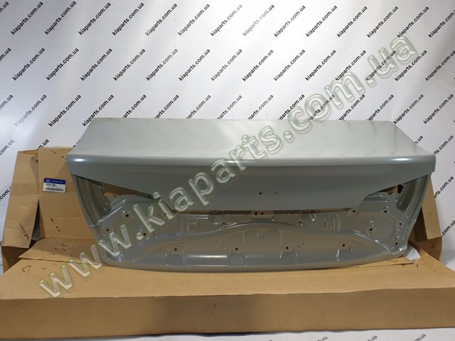 Porta traseira (3ª/5ª porta-malas (tampa de alcapão) para Subaru Forester (S12, SH)