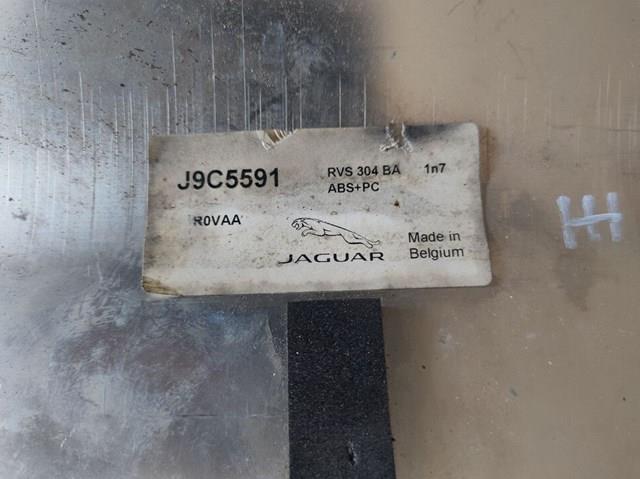 J9C5591 Jaguar 