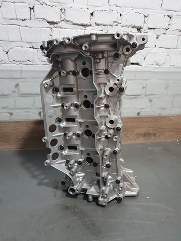 1104100Q1G Nissan cabeça de motor (cbc)