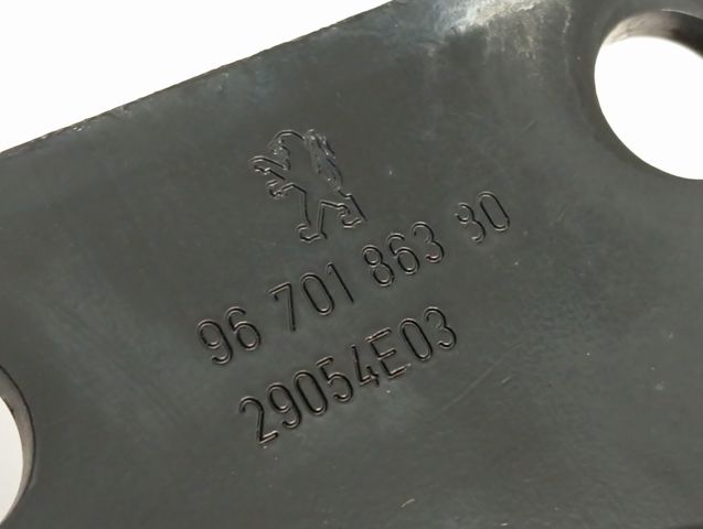  Peugeot/Citroen 9670186380