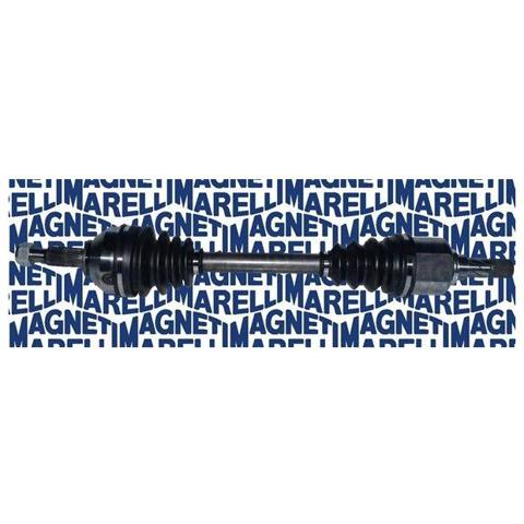 TDS0065 Magneti Marelli 