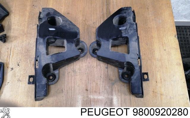 Купить 9800920280 Peugeot/Citroen 