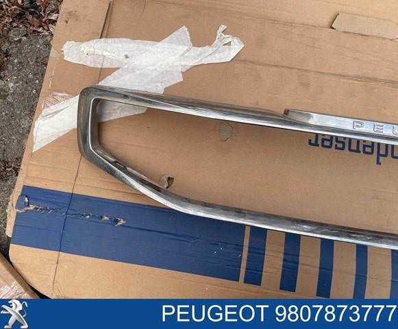 9807873777 Peugeot/Citroen 
