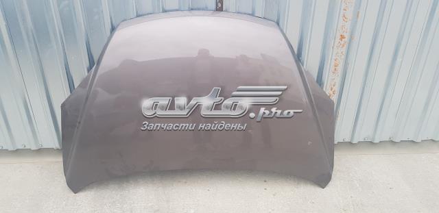 Капот 60100SWWG01ZZ Honda